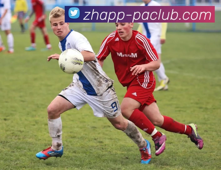 PA直营平台APP 体育赛事宣传图